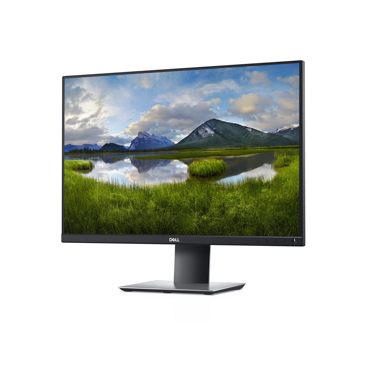 DELL P Series P2421 - 61.2 cm (24.1&quot;) - 1920 x 1200 pixels WUXGA LCDMonitor