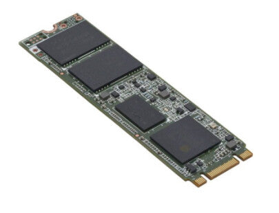 Fujitsu internal solid state drive - Serial ATA III M.2 SSD - 240 GB