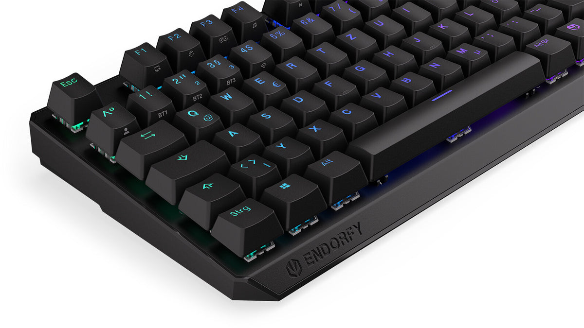 ENDORFY Thock TKL - USB Wired + RF Wireless RGB Mechanical Keyboard in Black (QWERTZ German)