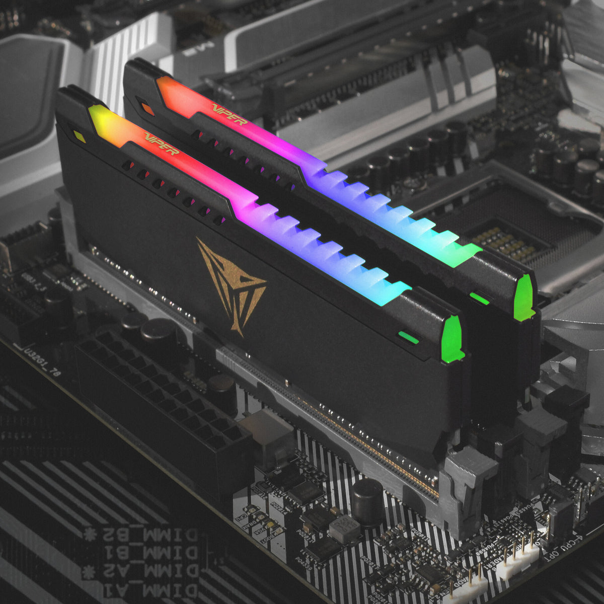 Patriot Memory Viper Steel RGB - 16 GB 2 x 8 GB DDR4 3600 MHz memory module