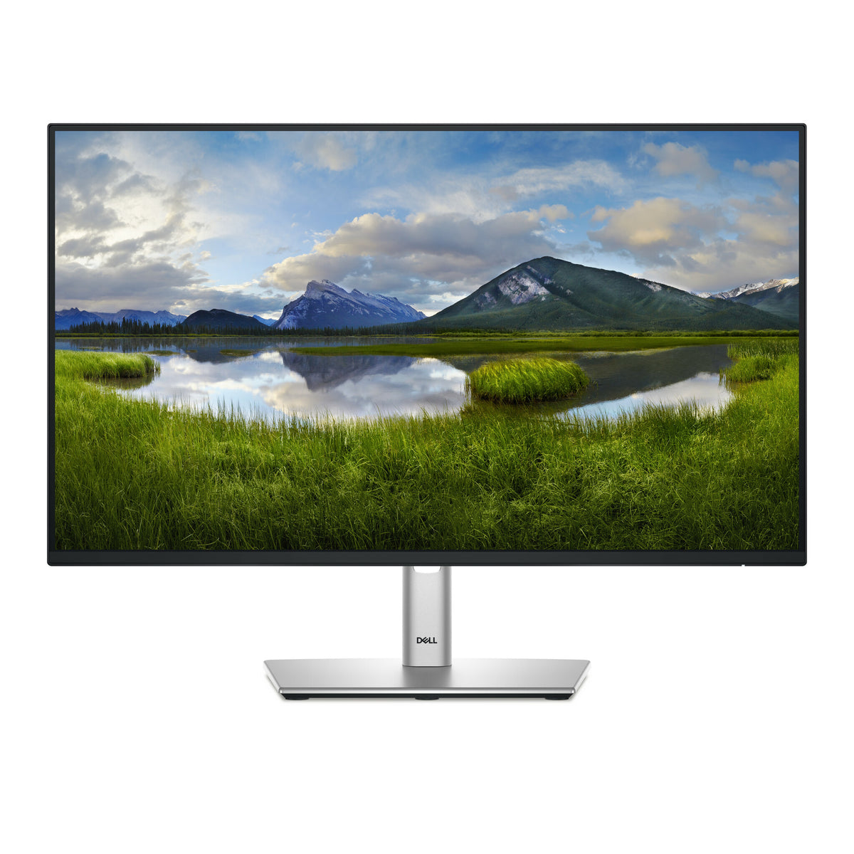 DELL P Series P2425HE - 61 cm (24&quot;)  - 1920 x 1080 pixels Full HD LCD Monitor