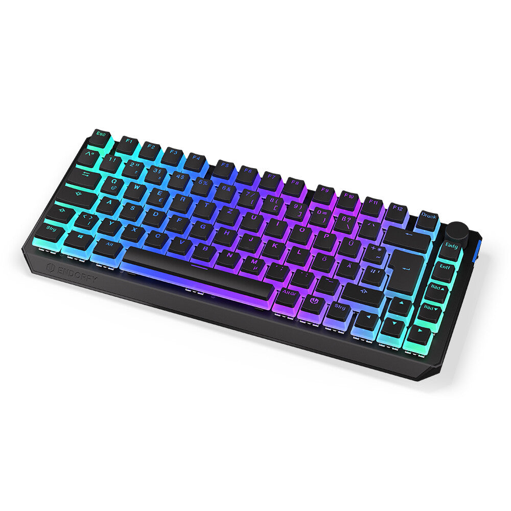 ENDORFY Thock 75% - USB Wired + RF Wireless RGB Mechanical Keyboard in Black (QWERTZ German)