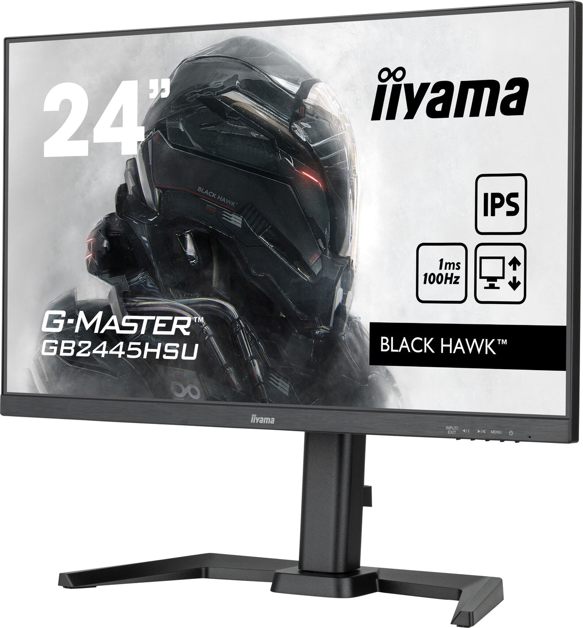 iiyama G-MASTER GB2445HSU-B1 - 61 cm (24&quot;) - 1920 x 1080 pixels Full HD LED Monitor