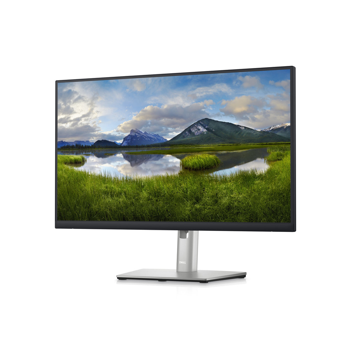 DELL P2423D - 60.5 cm (23.8&quot;) 2560 x 1440p Quad HD LCD Monitor