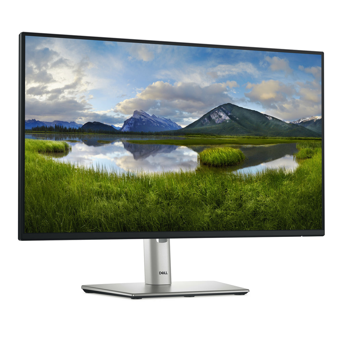 DELL P Series P2425HE - 61 cm (24&quot;)  - 1920 x 1080 pixels Full HD LCD Monitor