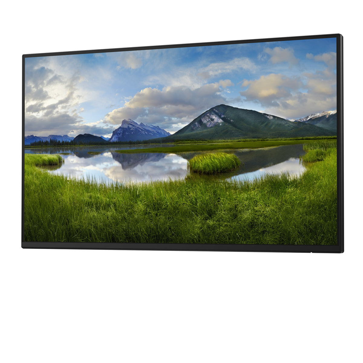 DELL P Series P2425HE_WOST - 61 cm (24&quot;) - 1920 x 1080 pixels Full HD LCD Monitor