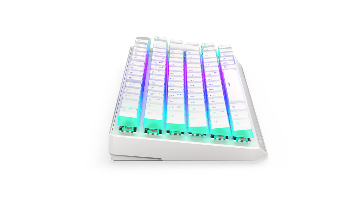 ENDORFY Thock 75% - USB Wired + RF Wireless RGB Mechanical Keyboard in White (QWERTZ German)