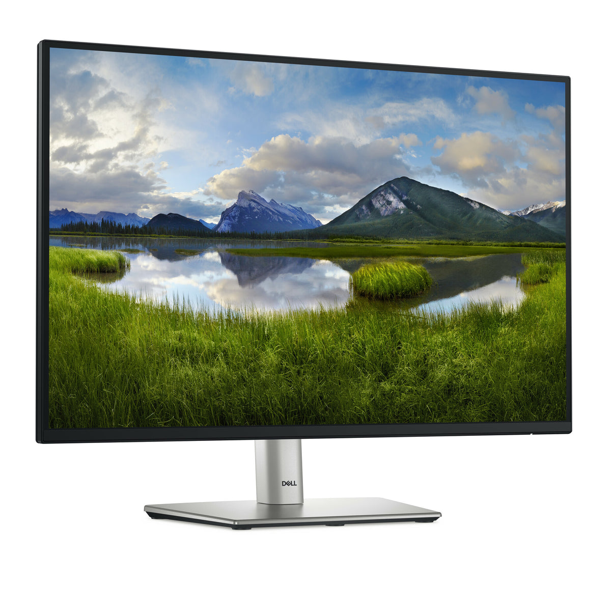 DELL P Series P2425 - 61.1 cm (24.1&quot;) - 1920 x 1200 pixels WUXGA LCD Monitor