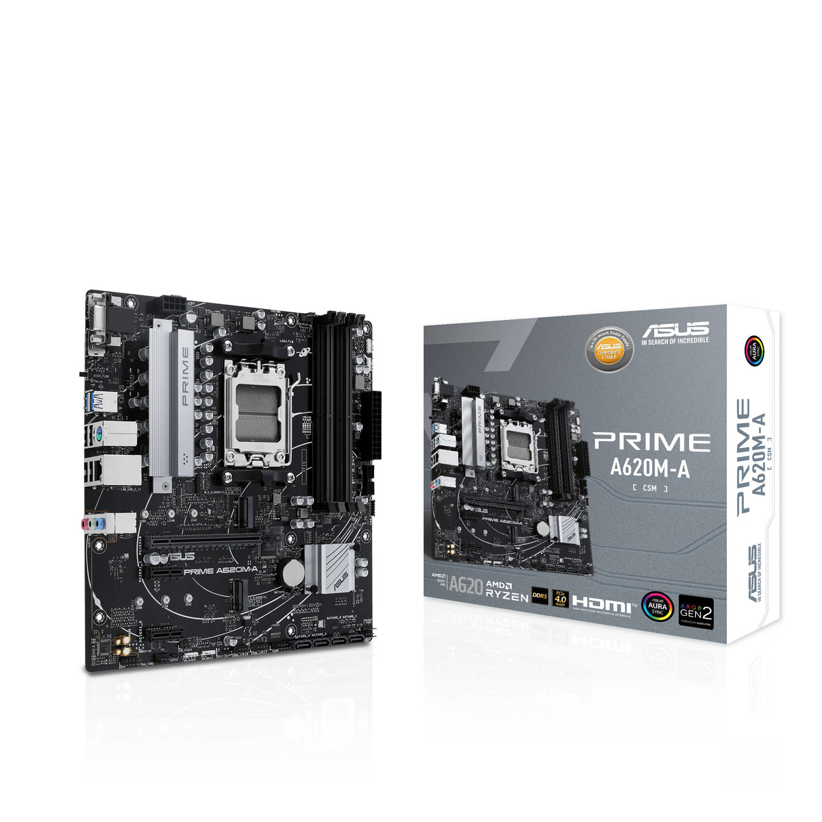 ASUS PRIME A620M-A-CSM micro ATX motherboard - AMD A620 Socket AM5