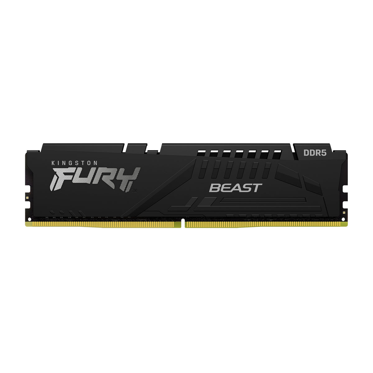 Kingston Technology FURY Beast - 16 GB 1 x 16 GB DDR5 5200 MHz memory module