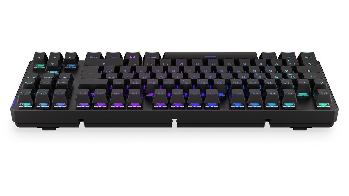 ENDORFY Thock TKL - USB Wired + RF Wireless RGB Mechanical Keyboard in Black (QWERTZ German)