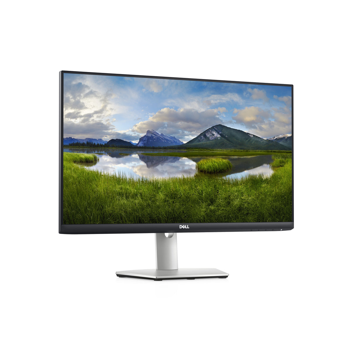 DELL S Series S2421HS - 60.5 cm (23.8&quot;) - 1920 x 1080 pixels Full HD LCD Monitor