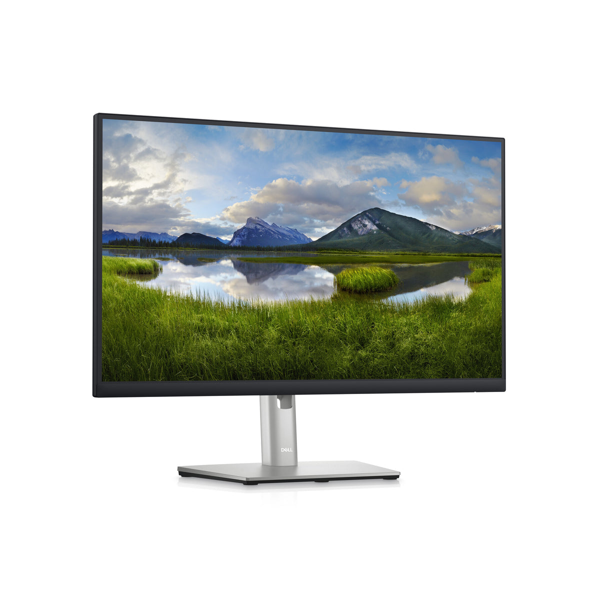 DELL P2423D - 60.5 cm (23.8&quot;) 2560 x 1440p Quad HD LCD Monitor