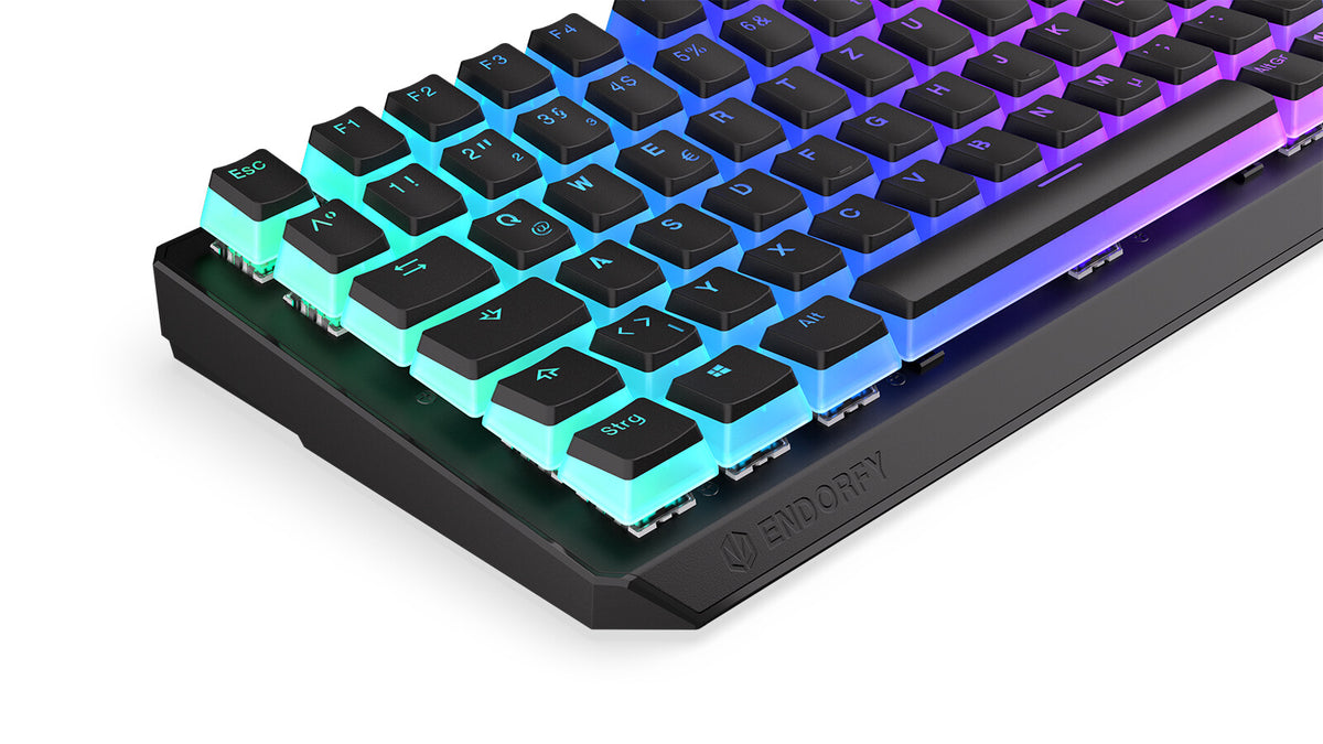 ENDORFY Thock 75% - USB Wired + RF Wireless RGB Mechanical Keyboard in Black (QWERTZ German)