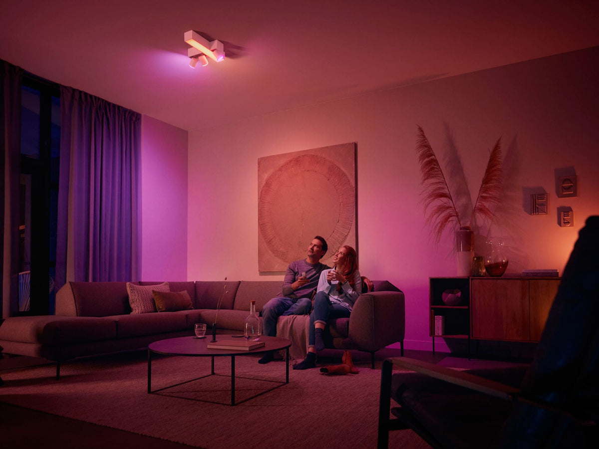 Philips Hue Go &amp; Dimmer Switch V2