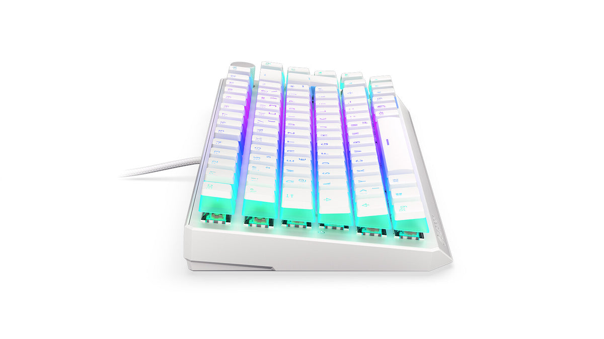 ENDORFY Thock 75% - USB Wired + RF Wireless RGB Mechanical Keyboard in White (QWERTZ German)