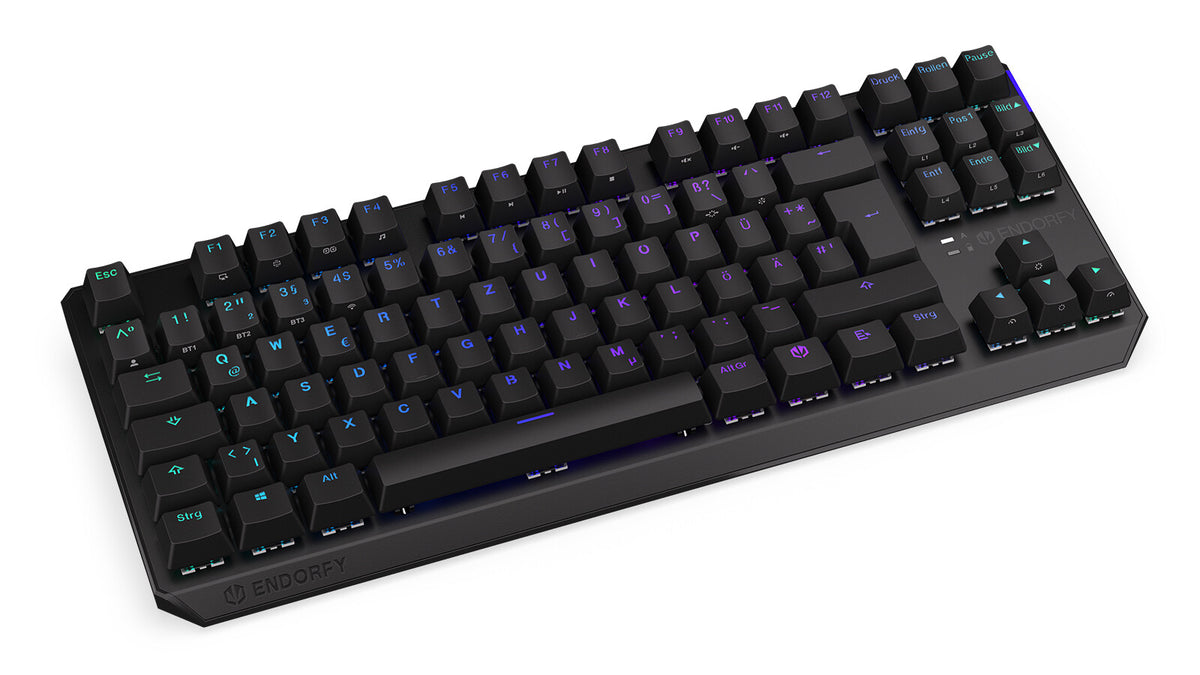 ENDORFY Thock TKL - USB Wired + RF Wireless RGB Mechanical Keyboard in Black (QWERTZ German)