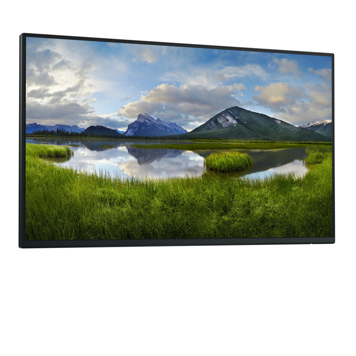 DELL P Series P2425H_WOST - 61 cm (24&quot;) - 1920 x 1080 pixels Full HD LCD Monitor (No Stand)