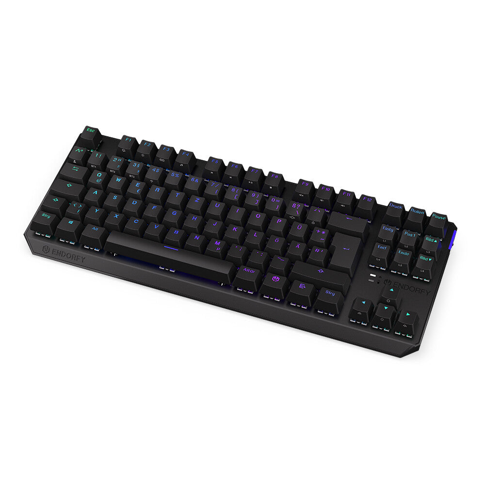 ENDORFY Thock TKL - USB Wired + RF Wireless RGB Mechanical Keyboard in Black (QWERTZ German)