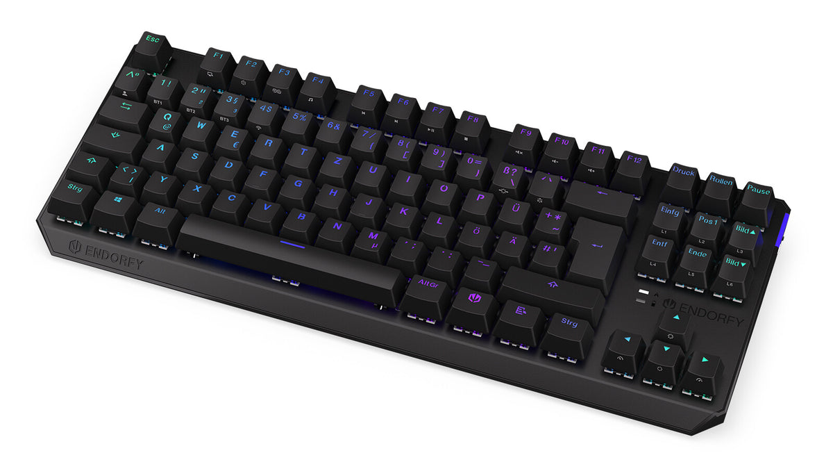 ENDORFY Thock TKL - USB Wired + RF Wireless RGB Mechanical Keyboard in Black (QWERTZ German)