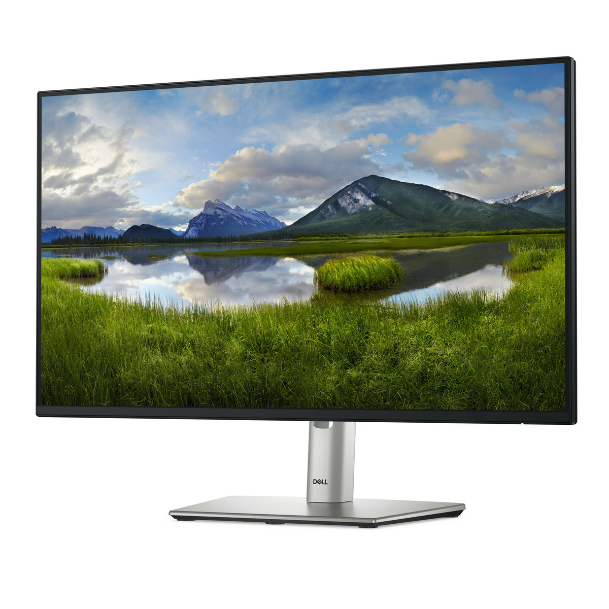 DELL P Series P2425HE - 61 cm (24&quot;)  - 1920 x 1080 pixels Full HD LCD Monitor