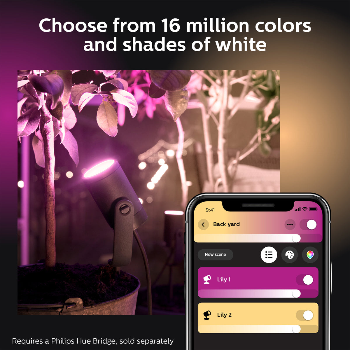 Philips Hue Lily Outdoor Lights Base Kit in Black - White and colour ambience (Pack of 3 &amp; Bridge)