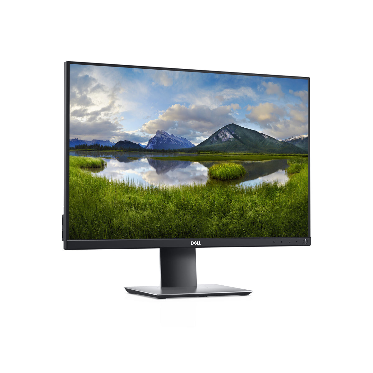 DELL P Series P2421 - 61.2 cm (24.1&quot;) - 1920 x 1200 pixels WUXGA LCDMonitor