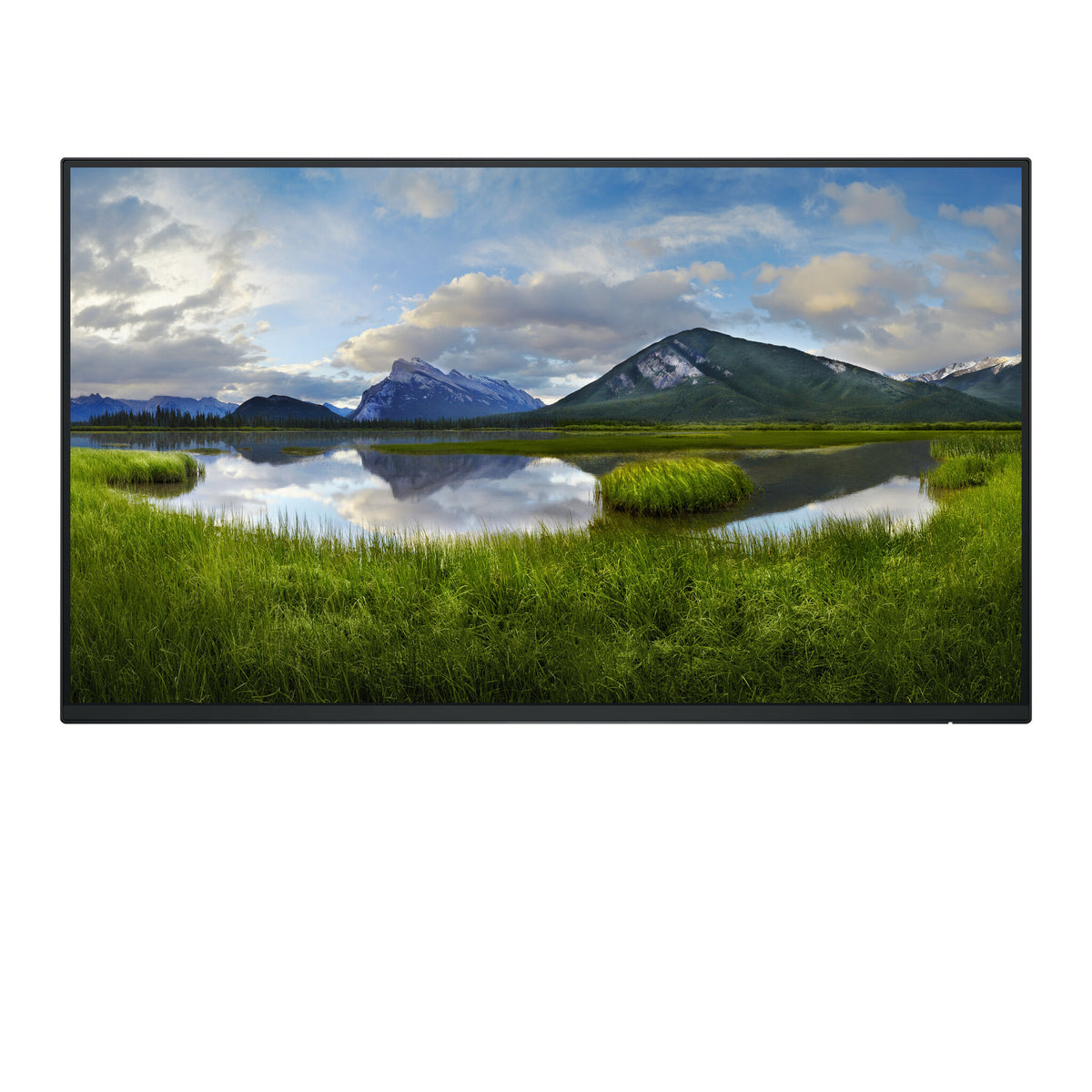 DELL P Series P2425HE_WOST - 61 cm (24&quot;) - 1920 x 1080 pixels Full HD LCD Monitor