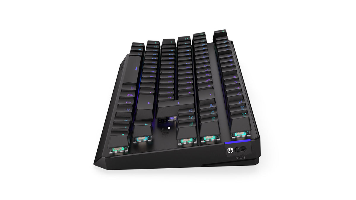 ENDORFY Thock TKL - USB Wired + RF Wireless RGB Mechanical Keyboard in Black (QWERTZ German)