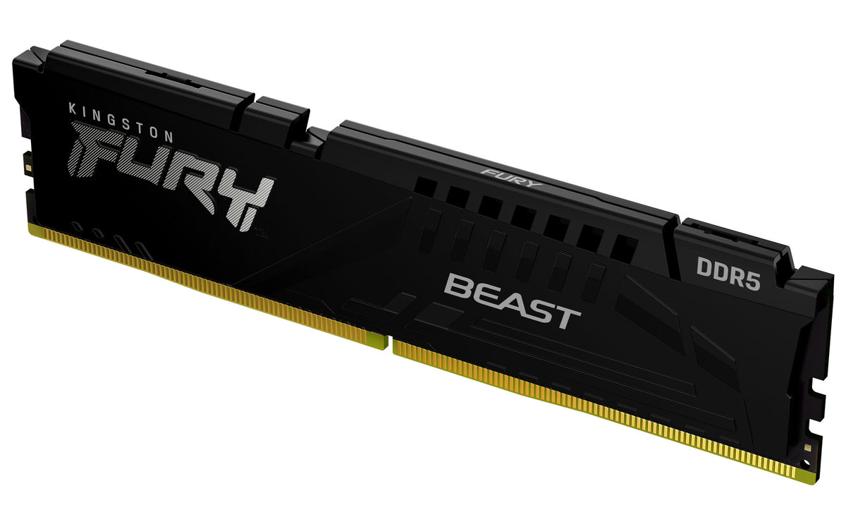 Kingston Technology FURY Beast - 16GB 1 x 16 GB DDR5 6000 MHz memory module