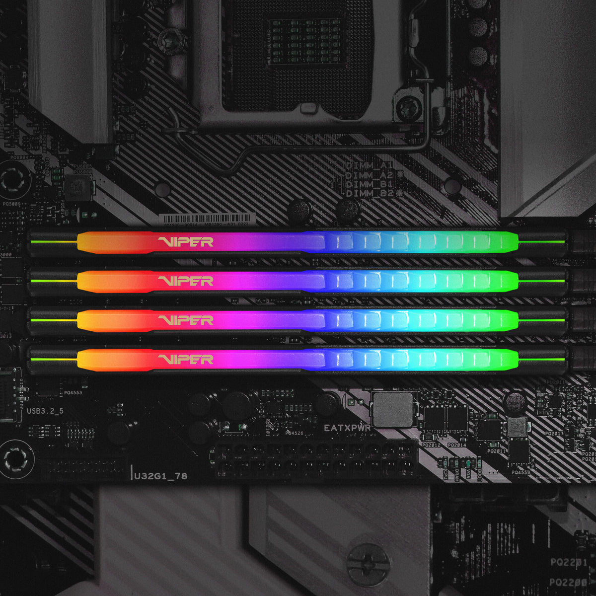 Patriot Memory Viper Steel RGB - 16 GB 2 x 8 GB DDR4 3600 MHz memory module