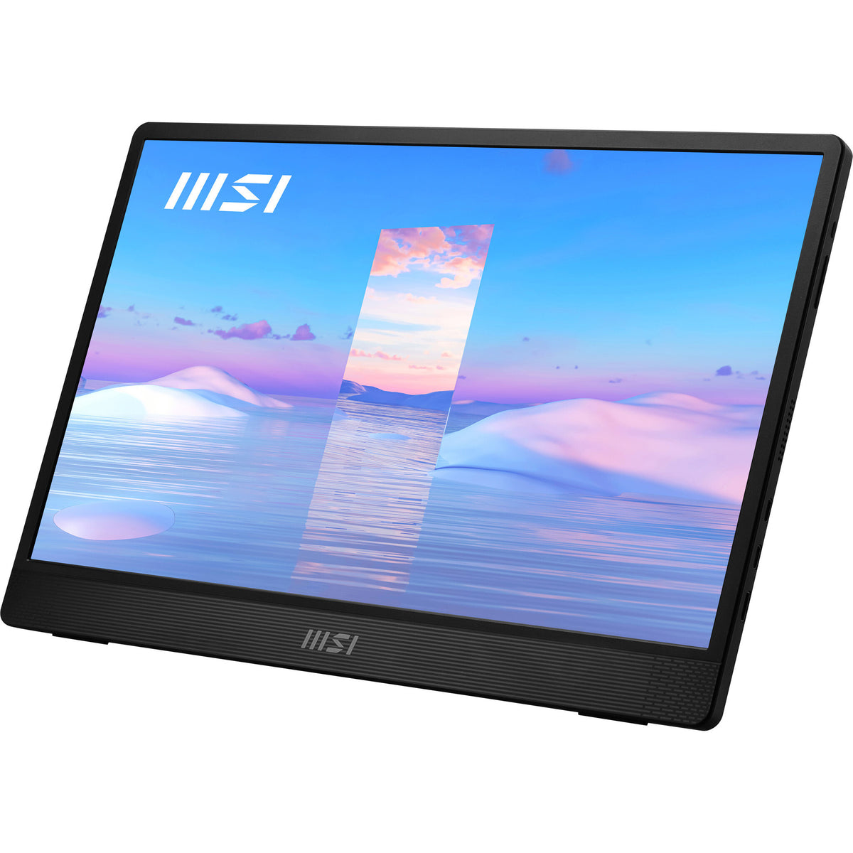 MSI Pro MP161 - 39.6cm (15.6&quot;) - 1920 x 1080 pixels FHD Portable Monitor