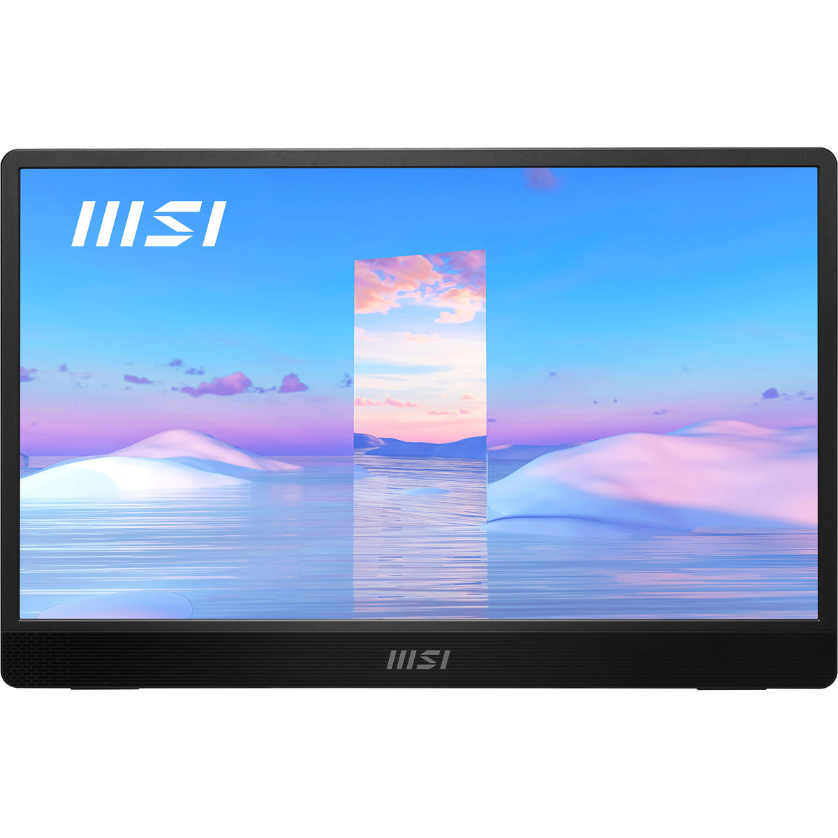 MSI Pro MP161 - 39.6cm (15.6&quot;) - 1920 x 1080 pixels FHD Portable Monitor