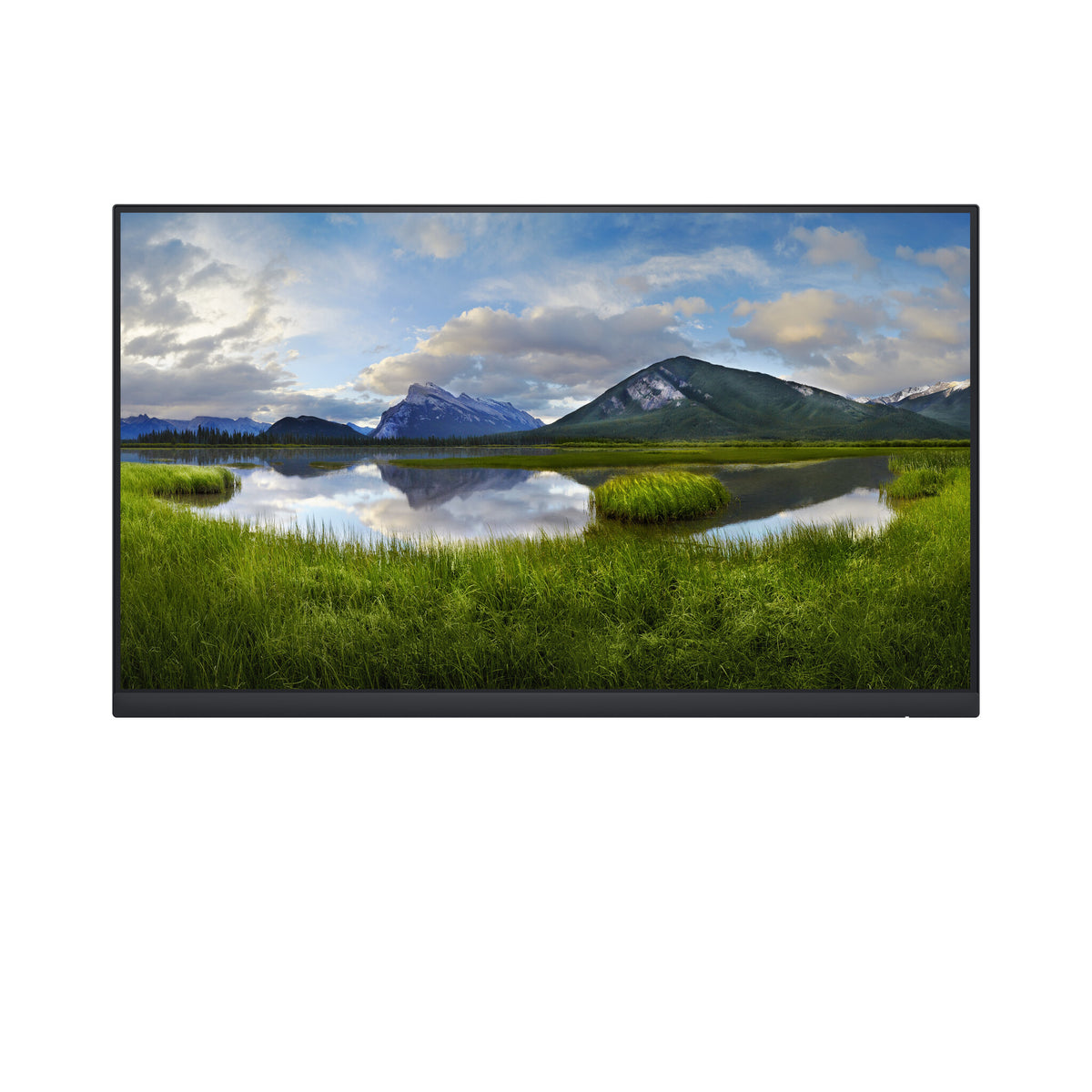 DELL P Series P2422H LED display (Without Stand) 60.5 cm (23.8&quot;) 1920 x 1080 pixels Full HD LCD Black