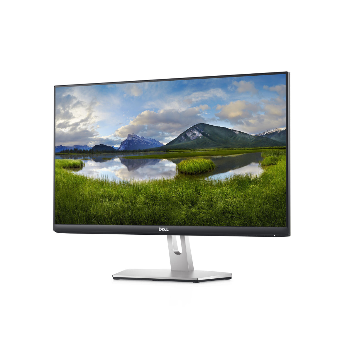 DELL S Series S2421HN LED display 60.5 cm (23.8&quot;) 1920 x 1080 pixels Full HD LCD