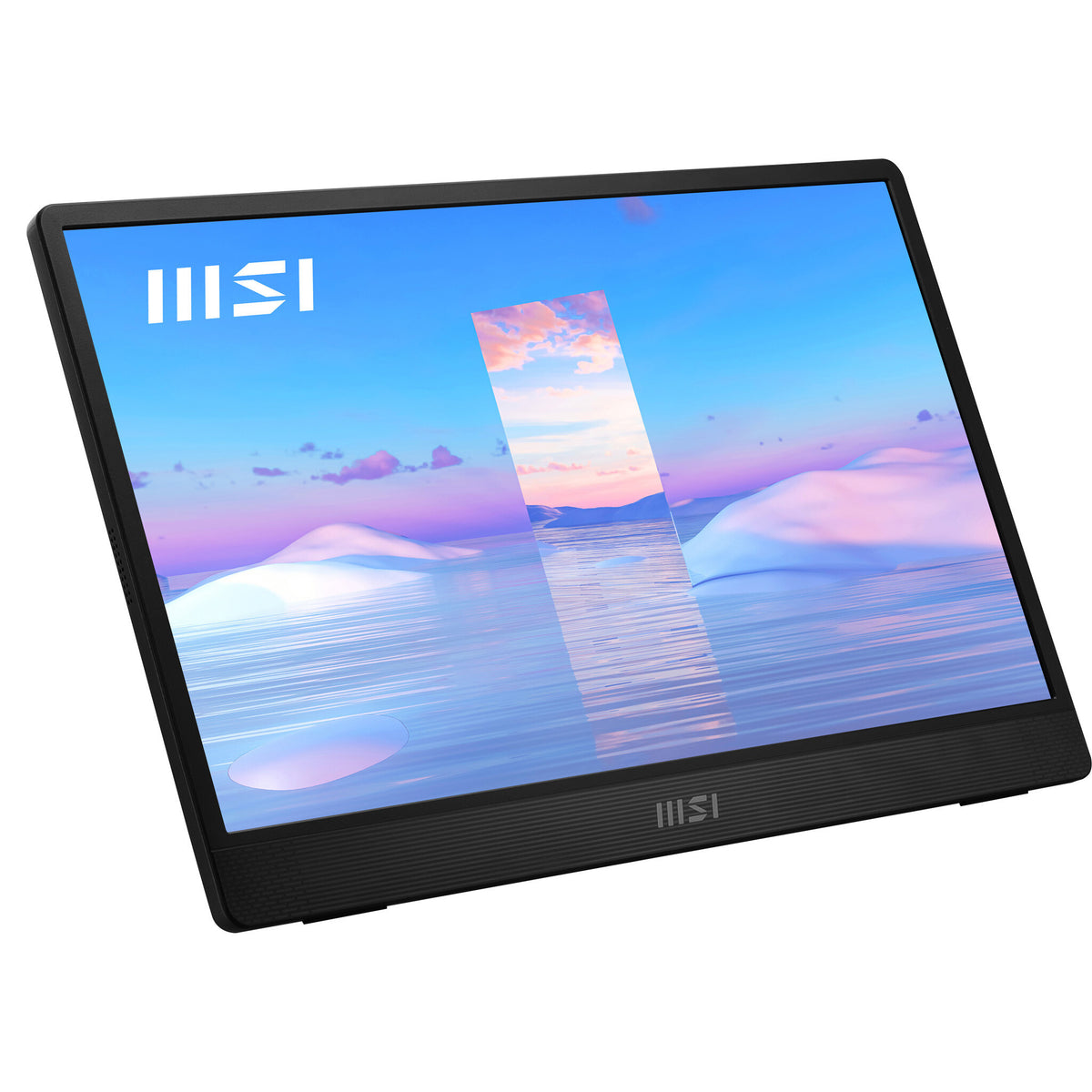 MSI Pro MP161 - 39.6cm (15.6&quot;) - 1920 x 1080 pixels FHD Portable Monitor