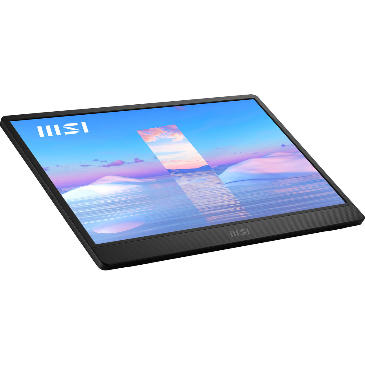 MSI Pro MP161 - 39.6cm (15.6&quot;) - 1920 x 1080 pixels FHD Portable Monitor